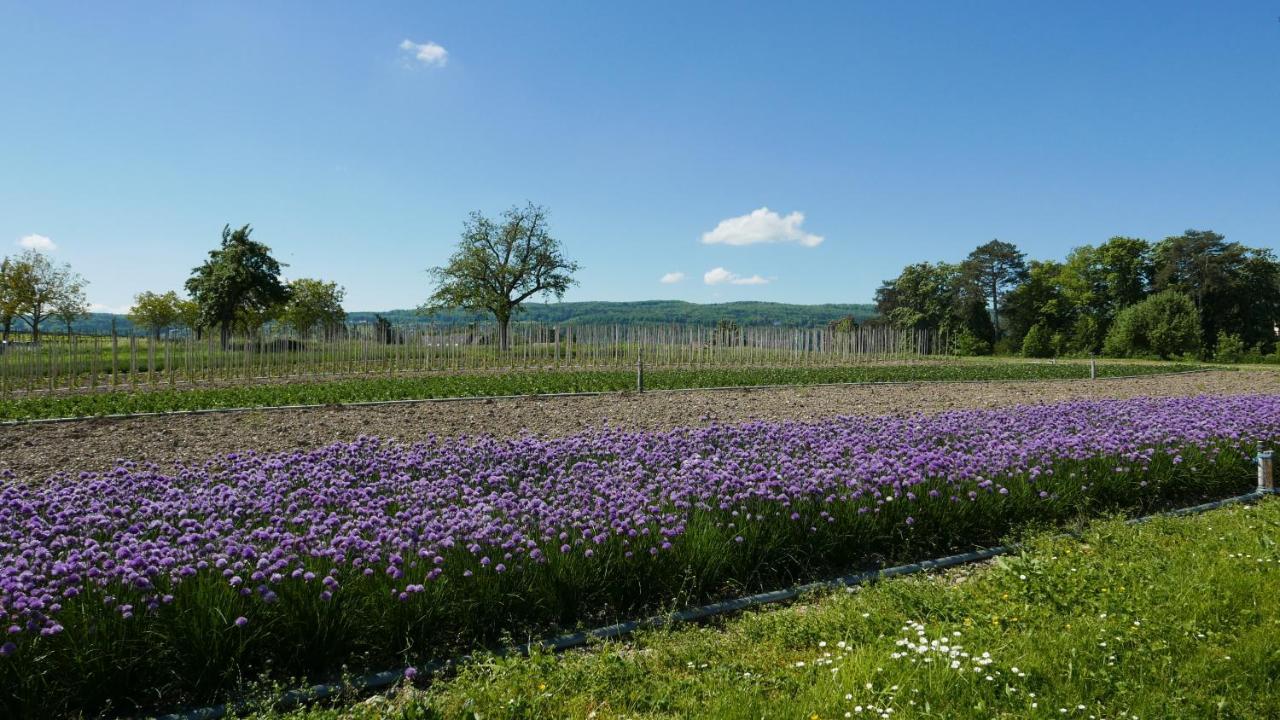 Apartmán Haus Muensterblick Reichenau Exteriér fotografie