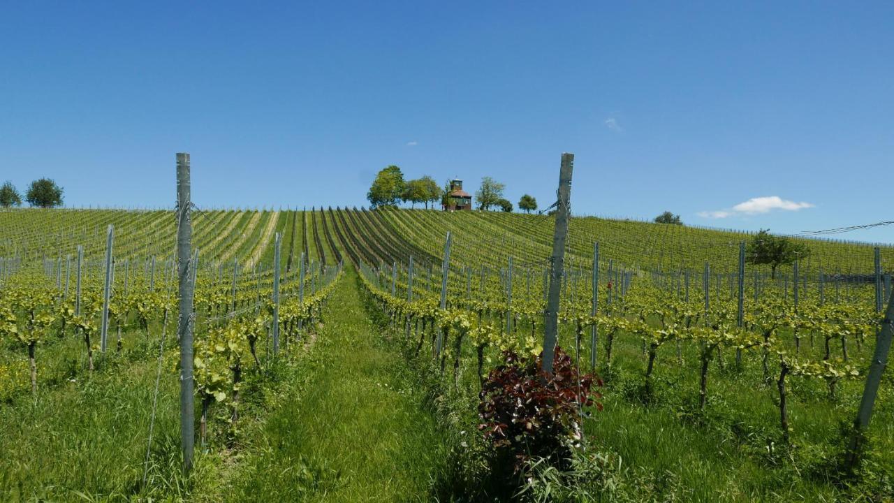 Apartmán Haus Muensterblick Reichenau Exteriér fotografie
